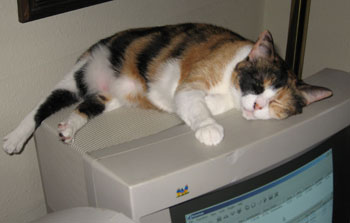 computer